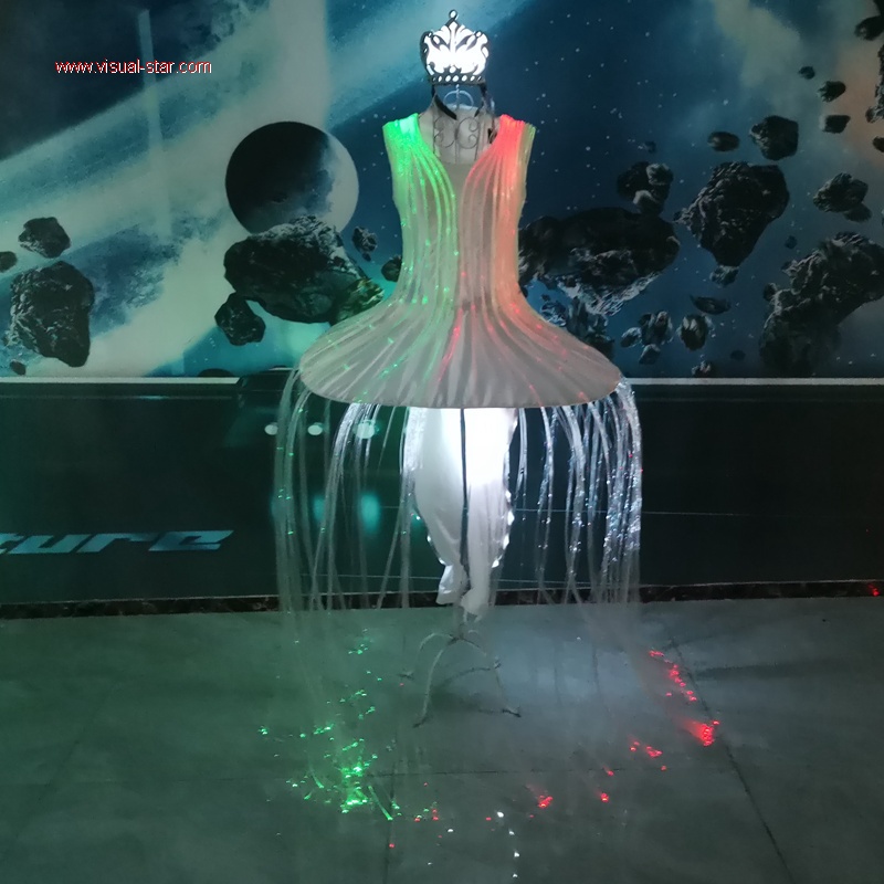 Womens Fiber Optic LED RGB Light up Evening Prom Party Night Club Dress  Costume | eBay