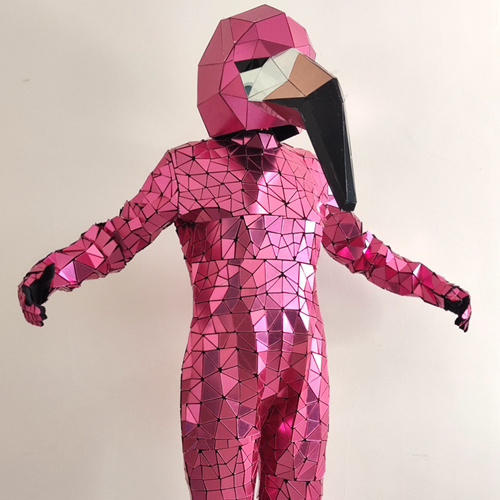 mirror Flamingo performance costumes