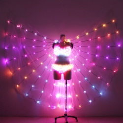 Led dance wings with led bra and pants