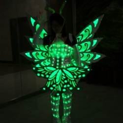 Led light butterfly wings costume