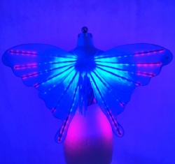 Led light adult butteryfly wings performance