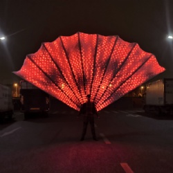 Led pixel peacock tail performance props