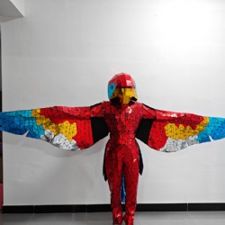 colorful mirror parrot dance costume