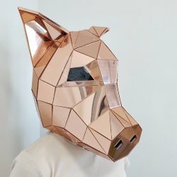 Mirror pig performance head