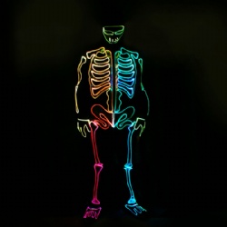 Halloween led light up skeleton costume